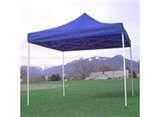 10 x 10 Canopies 10 x 10 Canopies