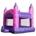 Pink Castle Pink Castle