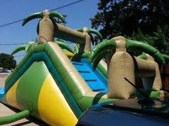 Jungle Slide(16 ft) Jungle Slide(16 ft)
