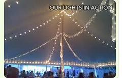 Mini-Lights - 20 foot strand Mini-Lights - 20 foot strand
