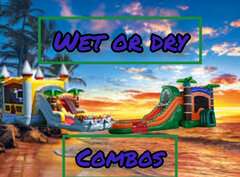 Wet or dry Bounce House with dual lane slide Wet or dry Bounce House with dual lane slide