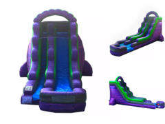 20ft Purple Paradise DRY 20ft Purple Paradise DRY