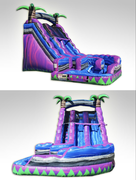 21Ft Purple Crush curvy 21Ft Purple Crush curvy