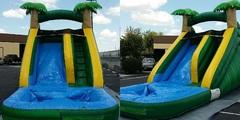 15ft Tropical Oasis 15ft Tropical Oasis