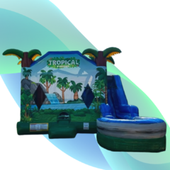 Tropical Paradise