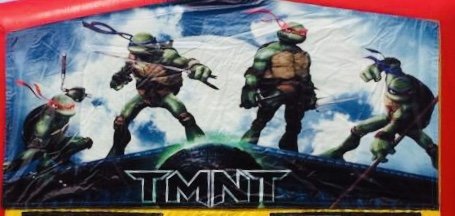 ninja turtle panel