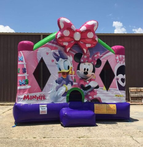 Minnie-Mouse-With-Slide-Unit-25