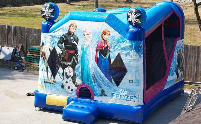 Frozen- With-Slide and Basketball Hoop Unit 24 Frozen- With-Slide and Basketball Hoop Unit 24