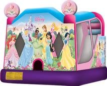 Disney Princess Castle Combo (Wet or Dry Unit)