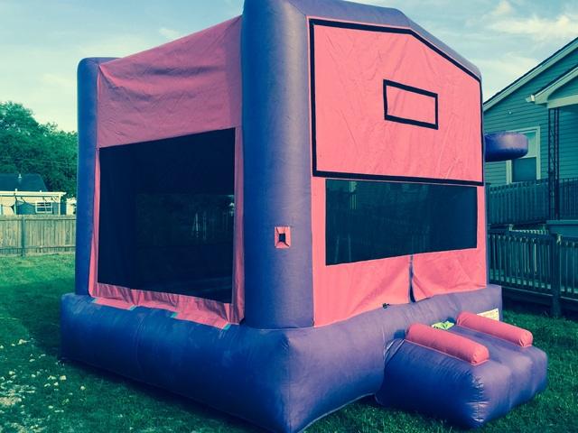 Deluxe Pink Module With Hoop Deluxe Pink Module With Hoop