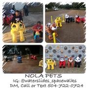 Toddler Motorized Pets Toddler Motorized Pets