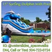 15' Surfing Dolphin 15' Surfing Dolphin