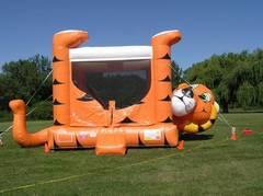 Tiger Belly Bounce House Tiger Belly Bounce House