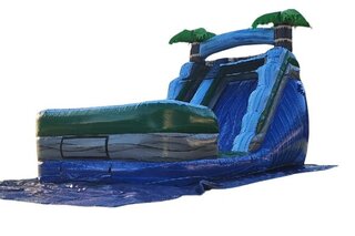 Palm Tree Plunge