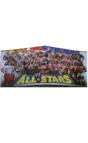 All Stars wrestling Banner