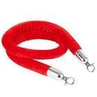 Red  Stanchions Rope