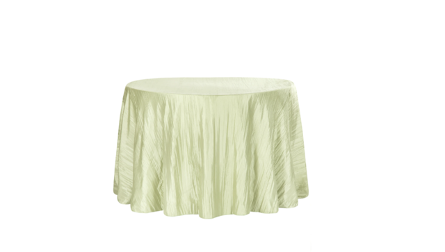 Accordion Crinkle Taffeta 120