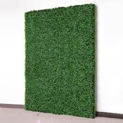 BOXWOOD HEDGE BACKDROP