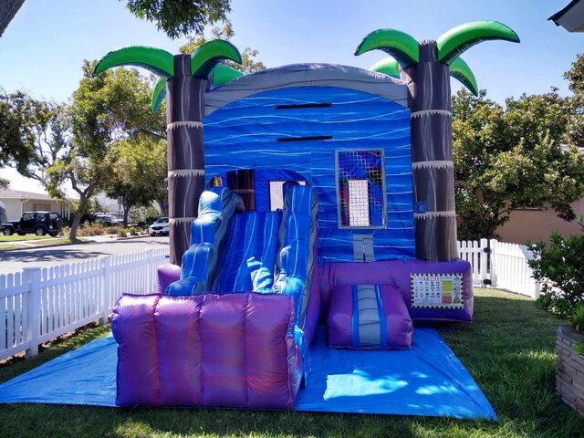 Palm Tree Jumper Rentals in Los Angeles - L.A Inflatables Rental 