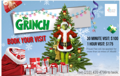 Grinch Visit (30min)