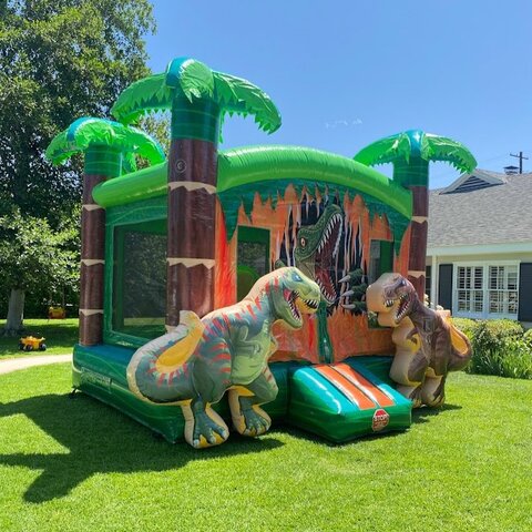 3D Dinosour 13x13 3D Dinosour 13x13