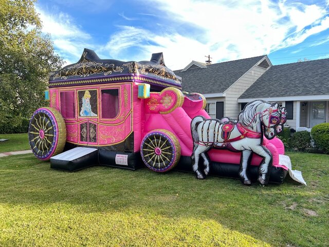 3D Princess Horse Carriage 26Ft Dry Only 3D Princess Horse Carriage 26Ft Dry Only