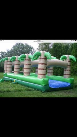 30' Palmtree Waterslide 30' Palmtree Waterslide