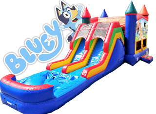 Bluey Bounce & Double Slide Combo