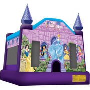 Disney Princess Jumper Disney Princess Jumper