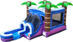 Tropical Island Bouncer/Slide Combo (Wet/ Dry)