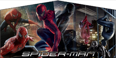Spiderman Panel Spiderman Panel