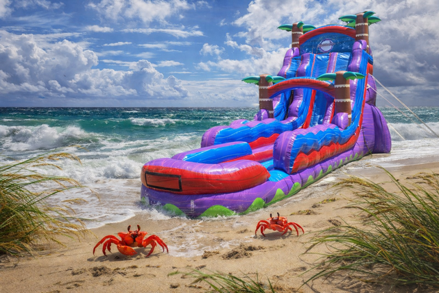 25ft Tropical Hurricane Double Lane Slide 25ft Tropical Hurricane Double Lane Slide