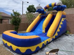 Dolphine Water Slide w/Pool