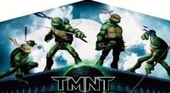 Teenage Mutant Ninja Turtles Panel   