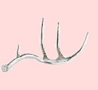 Antlers Antlers