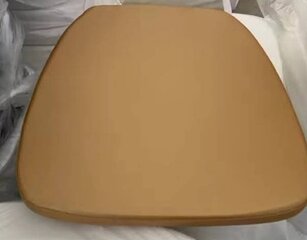 Chair Cushion/Gold