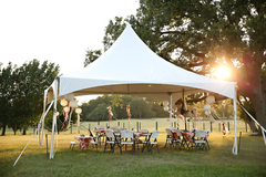 PARTY TENTS PARTY TENTS