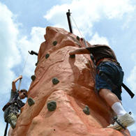 Festival Climbing Wall