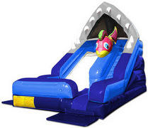 Shark Escape Wet/Dry Slide Shark Escape Wet/Dry Slide