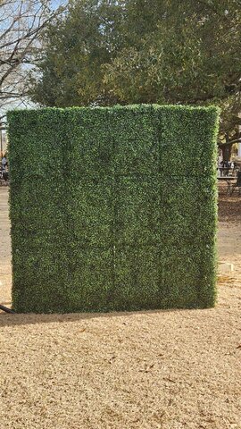 6x6 Grasswall Backdrop- Rental 6x6 Grasswall Backdrop- Rental