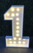 "1" 4ft LED Number Marquee