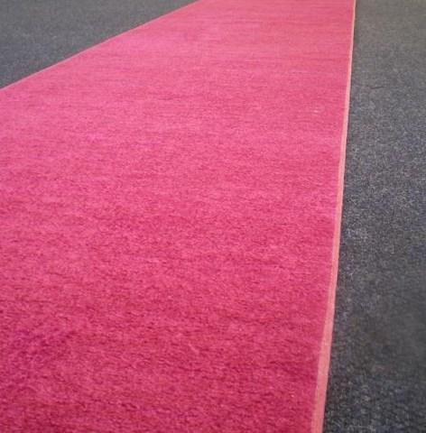 12ft Pink Carpet 12ft Pink Carpet