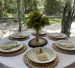 Natural Hyacinth Chargers