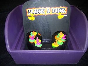 DUCK POND GAME