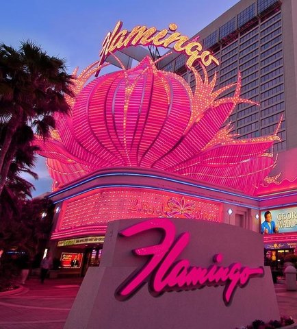 The Flamingo Package