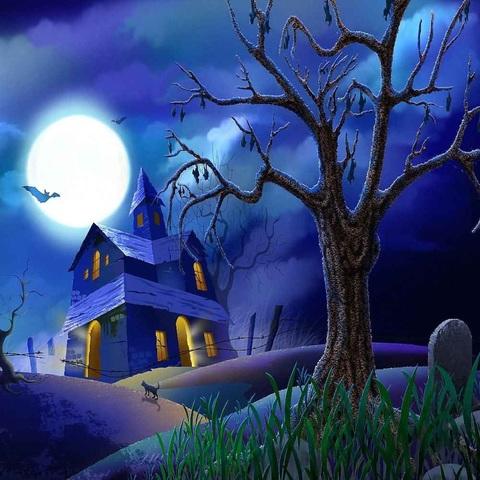 Halloween photo backdrop