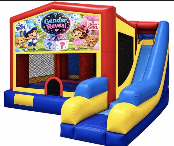 3 in 1 Gender Reveal Combo 3 in 1 Gender Reveal Combo