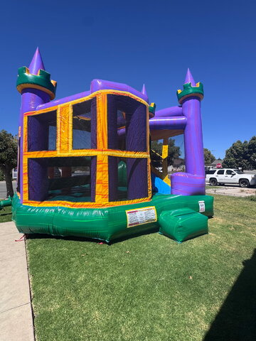 Purple Castle 5 in 1 Combo Purple Castle 5 in 1 Combo