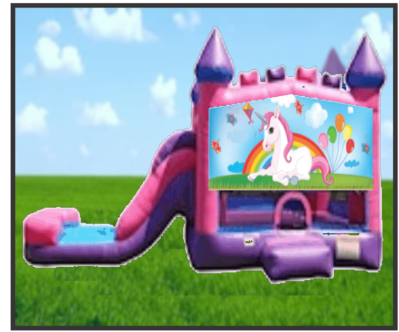 Unicorn Pink & Purple Combo Dry Slide