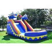 14ft Dolphin Waterslide